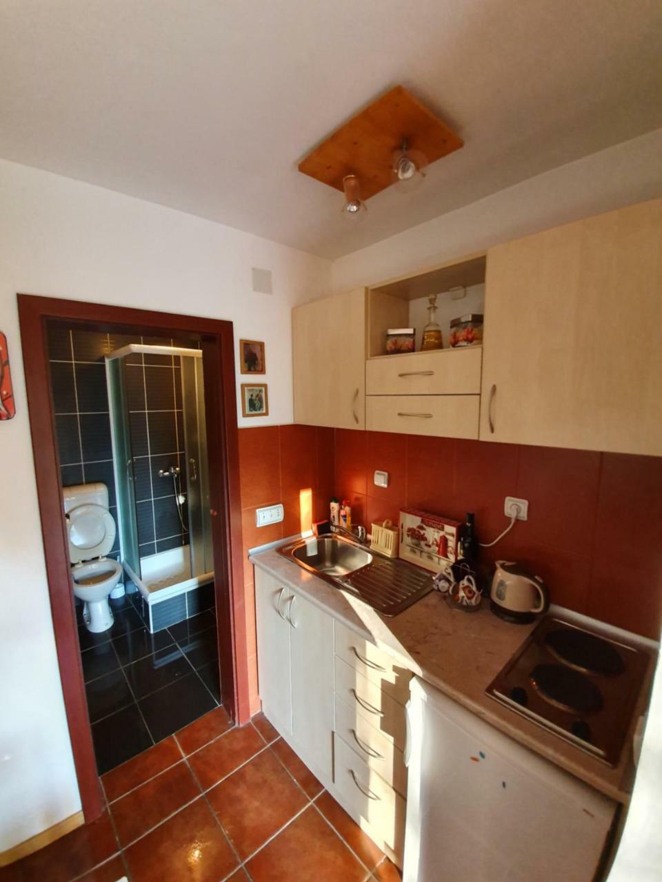 Apartment Matija Zlatibor Ngoại thất bức ảnh
